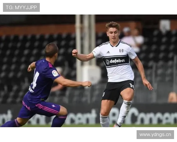 富勒姆未来规划聚焦青训建设与阵容深度提升