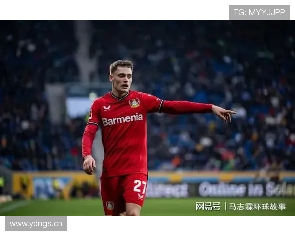 维尔茨上限是否被夸大？潜力与实际表现差距分析